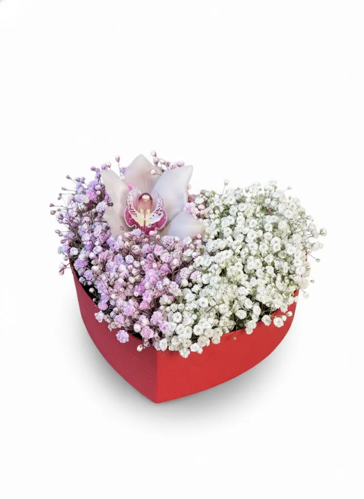 Aranjament Inimă cu Orhidee și Floarea Miresei